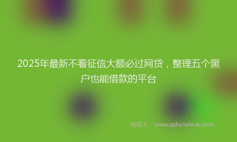2025年最新不看征信大额必过网贷，整理五个黑户也能借款的平台