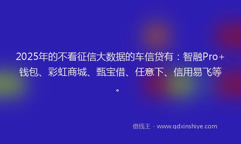 2025年的不看征信大数据的车信贷有：智融Pro+钱包、彩虹商城、甄宝借、任意下、信用易飞等。