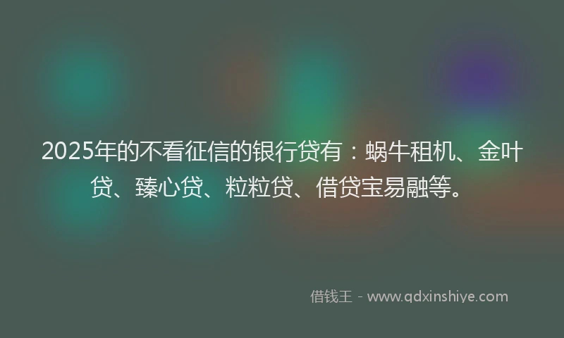 2025年的不看征信的银行贷有：蜗牛租机、金叶贷、臻心贷、粒粒贷、借贷宝易融等。