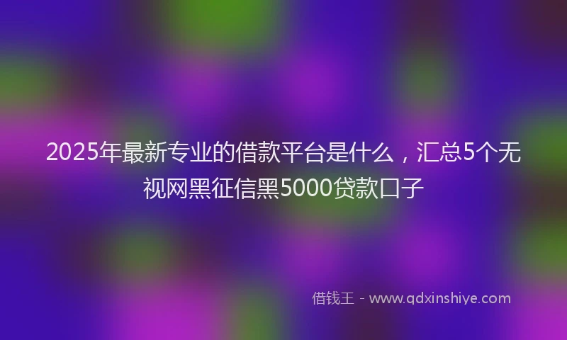 2025年最新专业的借款平台是什么，汇总5个无视网黑征信黑5000贷款口子