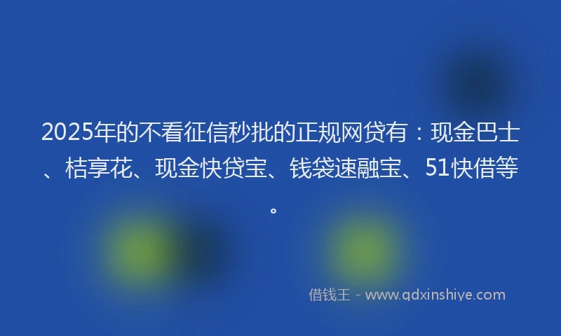 2025年的不看征信秒批的正规网贷有：现金巴士、桔享花、现金快贷宝、钱袋速融宝、51快借等。