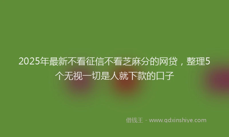 2025年最新不看征信不看芝麻分的网贷，整理5个无视一切是人就下款的口子