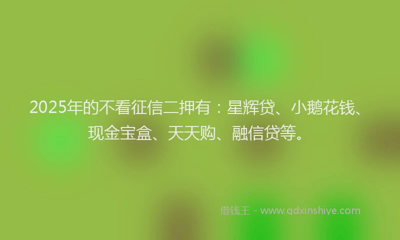 2025年的不看征信二押有：星辉贷、小鹅花钱、现金宝盒、天天购、融信贷等。