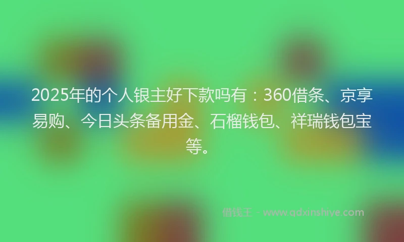 2025年的个人银主好下款吗有：360借条、京享易购、今日头条备用金、石榴钱包、祥瑞钱包宝等。
