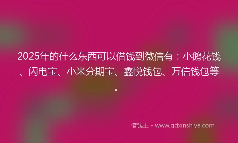 2025年的什么东西可以借钱到微信有：小鹅花钱、闪电宝、小米分期宝、鑫悦钱包、万信钱包等。