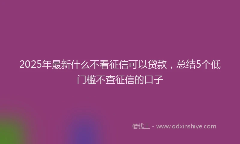 2025年最新什么不看征信可以贷款，总结5个低门槛不查征信的口子