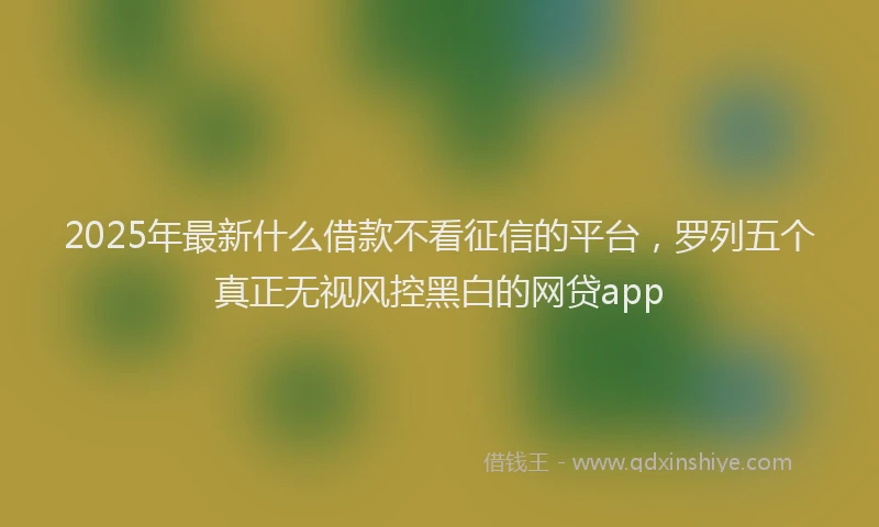 2025年最新什么借款不看征信的平台，罗列五个真正无视风控黑白的网贷app