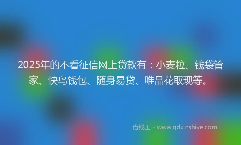 2025年的不看征信网上贷款有：小麦粒、钱袋管家、快鸟钱包、随身易贷、唯品花取现等。