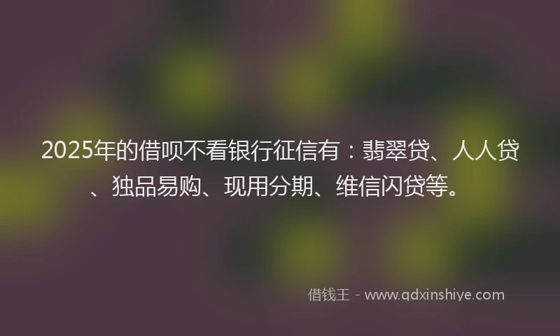 2025年的借呗不看银行征信有：翡翠贷、人人贷、独品易购、现用分期、维信闪贷等。