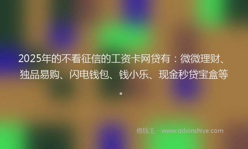 2025年的不看征信的工资卡网贷有:微微理财、独品易购、闪电钱包、钱小乐、现金秒贷宝盒等。