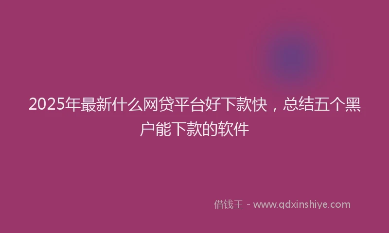 2025年最新什么网贷平台好下款快，总结五个黑户能下款的软件