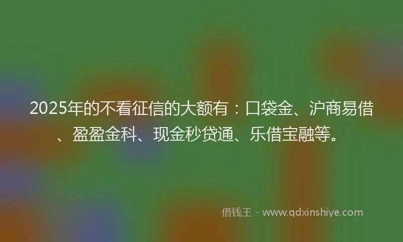 2025年的不看征信的大额有：口袋金、沪商易借、盈盈金科、现金秒贷通、乐借宝融等。