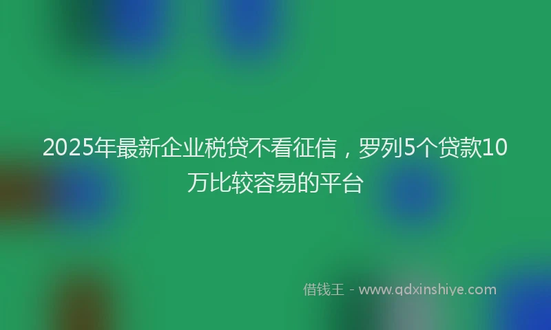 2025年最新企业税贷不看征信，罗列5个贷款10万比较容易的平台