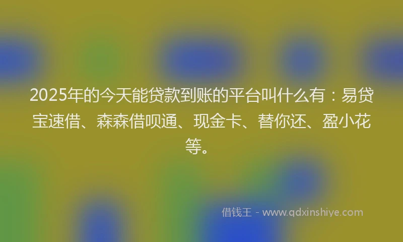 2025年的今天能贷款到账的平台叫什么有：易贷宝速借、森森借呗通、现金卡、替你还、盈小花等。
