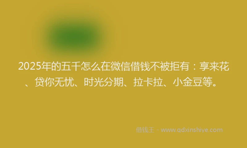 2025年的五千怎么在微信借钱不被拒有：享来花、贷你无忧、时光分期、拉卡拉、小金豆等。