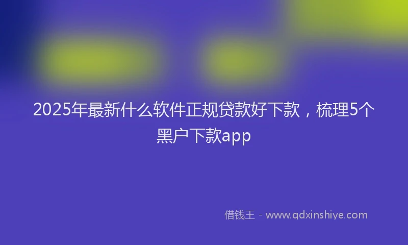2025年最新什么软件正规贷款好下款，梳理5个黑户下款app