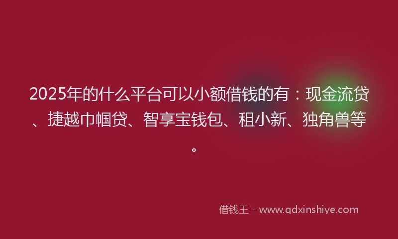 2025年的什么平台可以小额借钱的有：现金流贷、捷越巾帼贷、智享宝钱包、租小新、独角兽等。