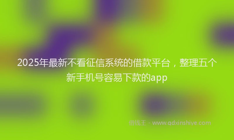 2025年最新不看征信系统的借款平台，整理五个新手机号容易下款的app