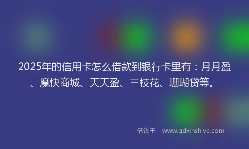 2025年的信用卡怎么借款到银行卡里有：月月盈、魔快商城、天天盈、三枝花、珊瑚贷等。