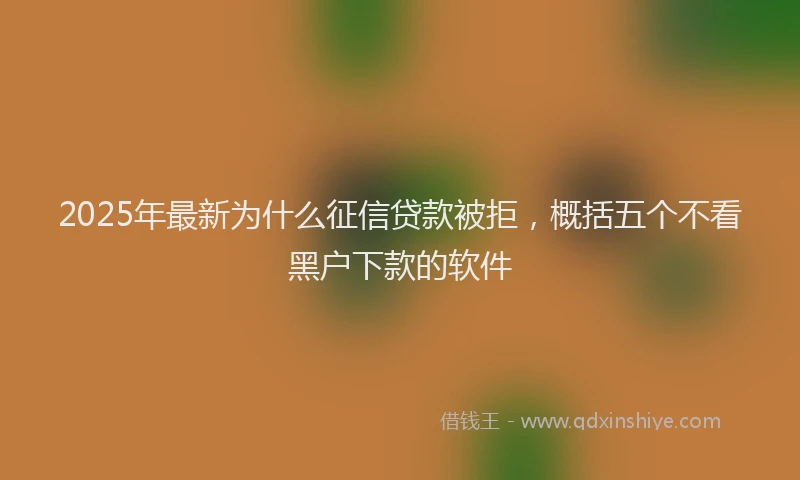 2025年最新为什么征信贷款被拒，概括五个不看黑户下款的软件