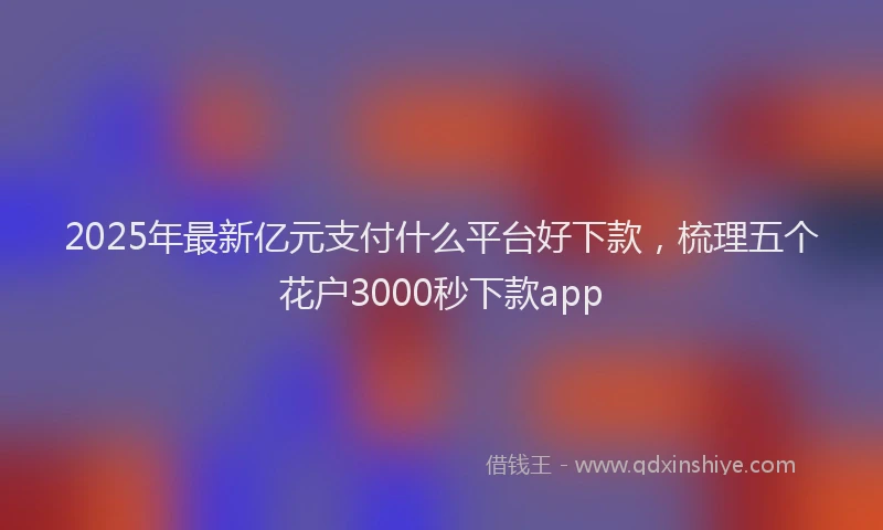 2025年最新亿元支付什么平台好下款，梳理五个花户3000秒下款app