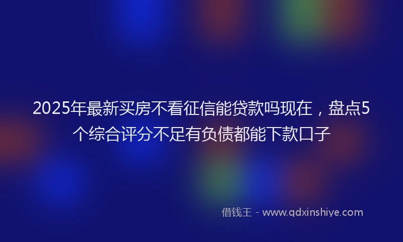 2025年最新买房不看征信能贷款吗现在，盘点5个综合评分不足有负债都能下款口子