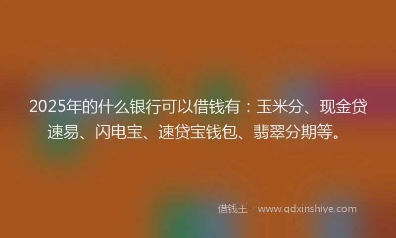 2025年的什么银行可以借钱有：玉米分、现金贷速易、闪电宝、速贷宝钱包、翡翠分期等。
