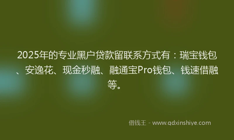 2025年的专业黑户贷款留联系方式有：瑞宝钱包、安逸花、现金秒融、融通宝Pro钱包、钱速借融等。