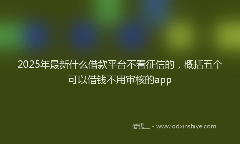 2025年最新什么借款平台不看征信的，概括五个可以借钱不用审核的app