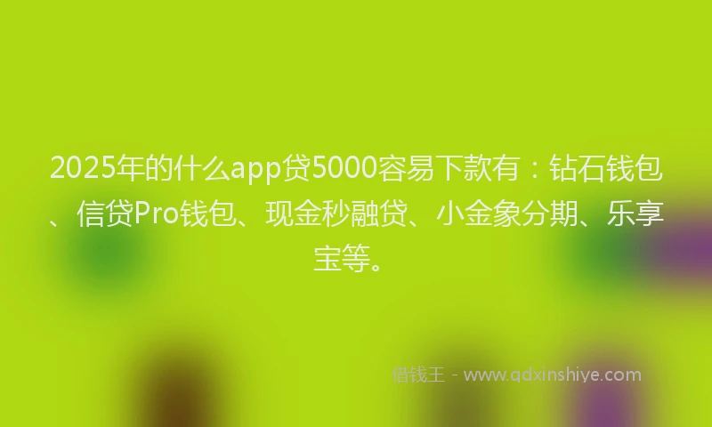 2025年的什么app贷5000容易下款有：钻石钱包、信贷Pro钱包、现金秒融贷、小金象分期、乐享宝等。