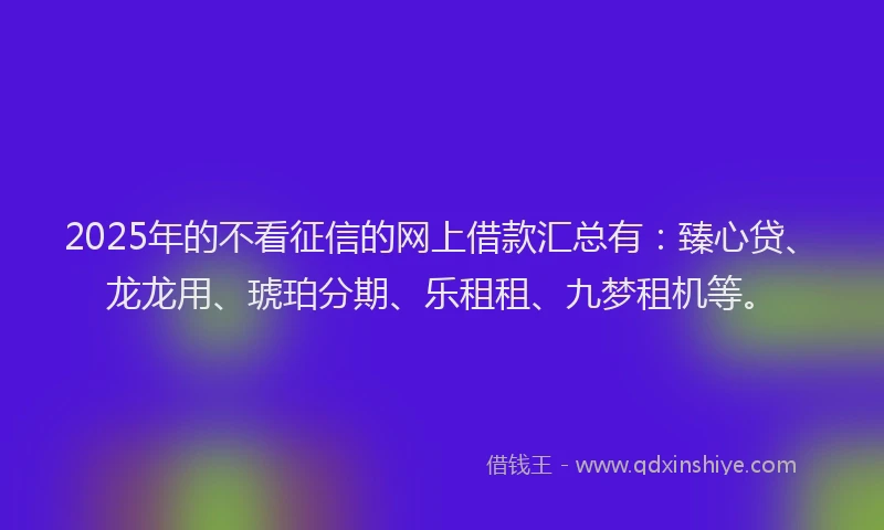 2025年的不看征信的网上借款汇总有：臻心贷、龙龙用、琥珀分期、乐租租、九梦租机等。