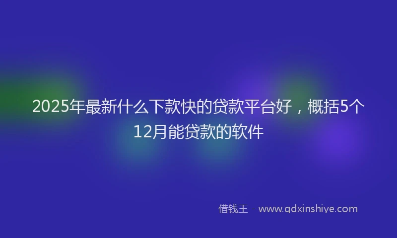 2025年最新什么下款快的贷款平台好，概括5个12月能贷款的软件