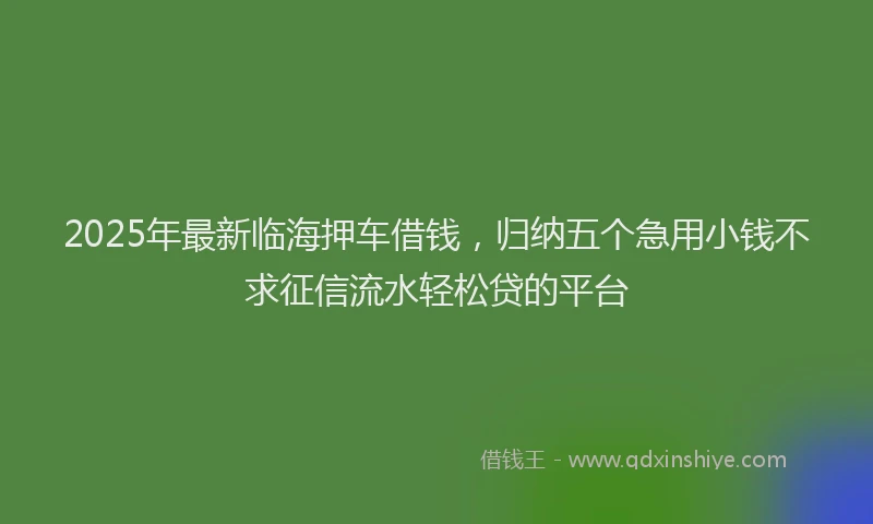 2025年最新临海押车借钱，归纳五个急用小钱不求征信流水轻松贷的平台