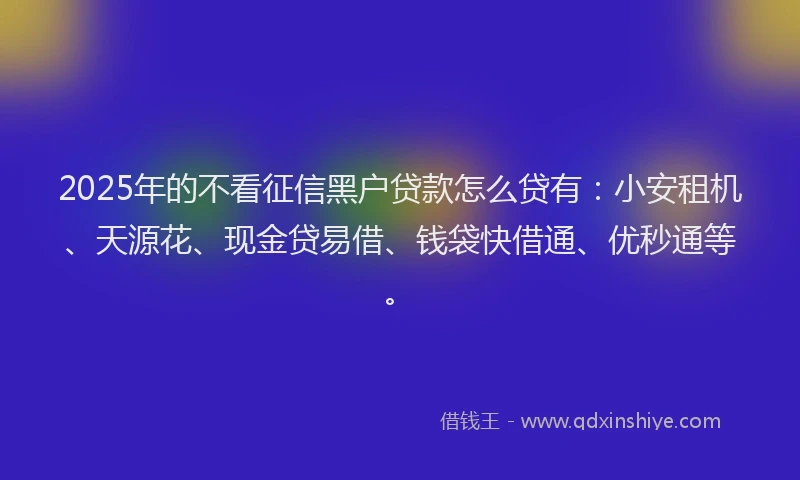 2025年的不看征信黑户贷款怎么贷有：小安租机、天源花、现金贷易借、钱袋快借通、优秒通等。