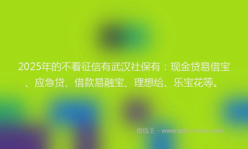 2025年的不看征信有武汉社保有：现金贷易借宝、应急贷、借款易融宝、理想给、乐宝花等。