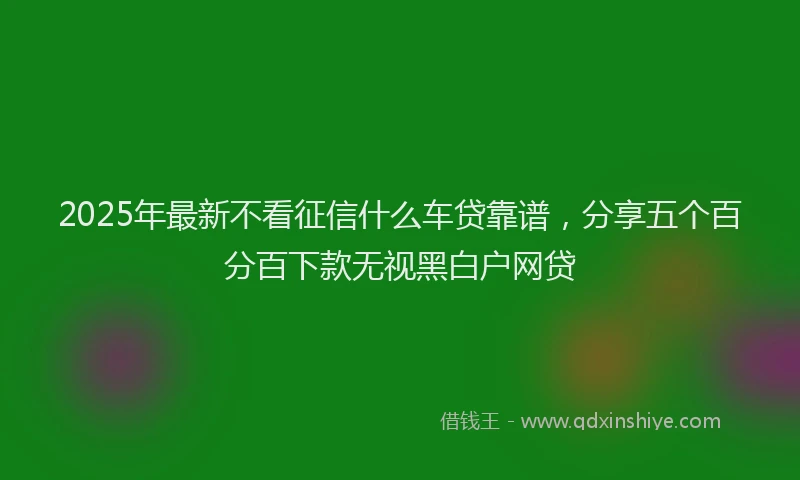2025年最新不看征信什么车贷靠谱，分享五个百分百下款无视黑白户网贷