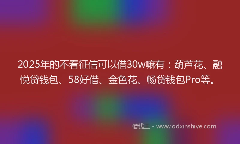 2025年的不看征信可以借30w嘛有：葫芦花、融悦贷钱包、58好借、金色花、畅贷钱包Pro等。
