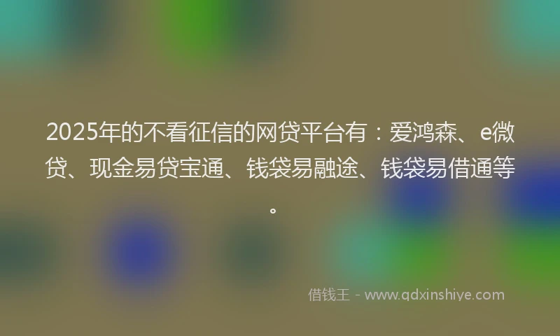 2025年的不看征信的网贷平台有：爱鸿森、e微贷、现金易贷宝通、钱袋易融途、钱袋易借通等。