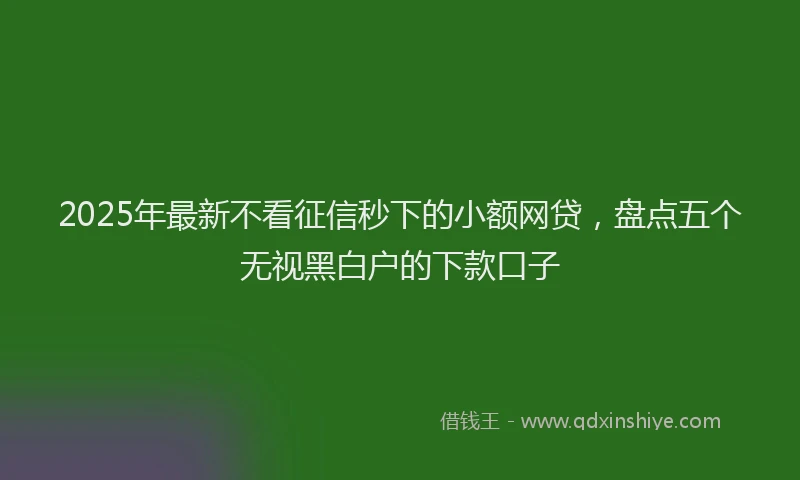 2025年最新不看征信秒下的小额网贷，盘点五个无视黑白户的下款口子