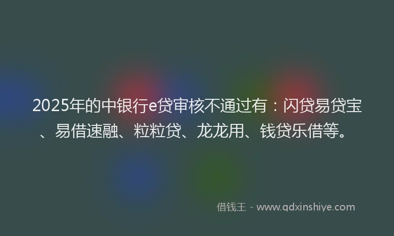 2025年的中银行e贷审核不通过有：闪贷易贷宝、易借速融、粒粒贷、龙龙用、钱贷乐借等。