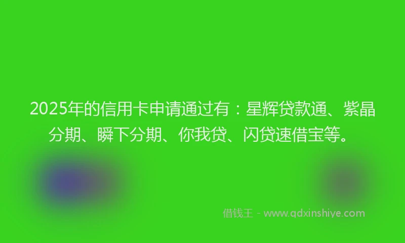 2025年的信用卡申请通过有：星辉贷款通、紫晶分期、瞬下分期、你我贷、闪贷速借宝等。
