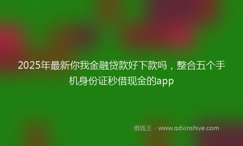 2025年最新你我金融贷款好下款吗，整合五个手机身份证秒借现金的app