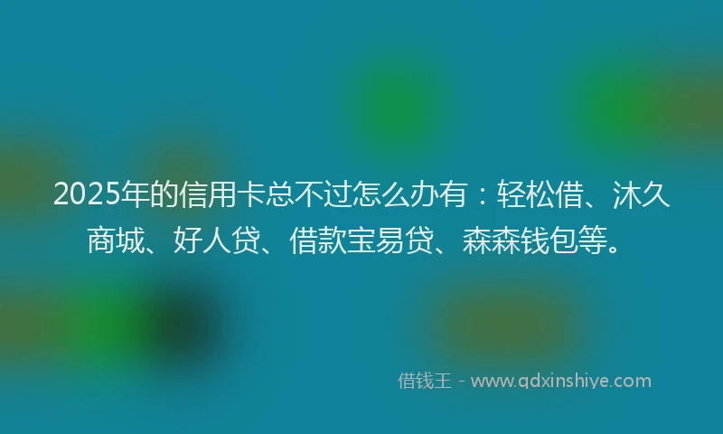 2025年的信用卡总不过怎么办有：轻松借、沐久商城、好人贷、借款宝易贷、森森钱包等。