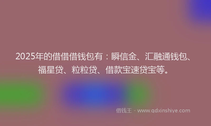 2025年的借借借钱包有：瞬信金、汇融通钱包、福星贷、粒粒贷、借款宝速贷宝等。