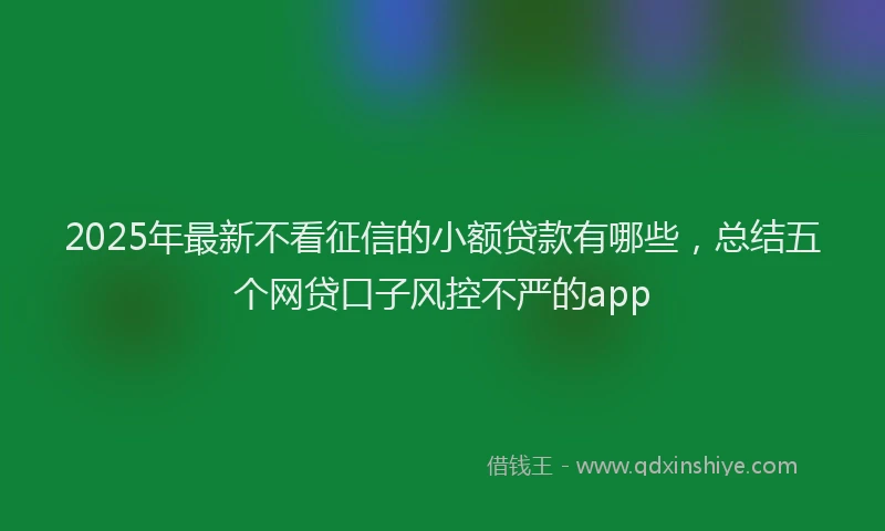 2025年最新不看征信的小额贷款有哪些，总结五个网贷口子风控不严的app