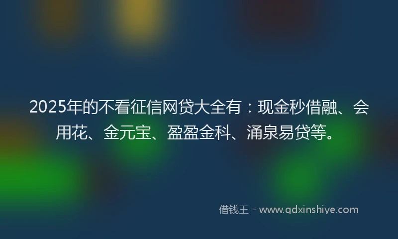 2025年的不看征信网贷大全有：现金秒借融、会用花、金元宝、盈盈金科、涌泉易贷等。