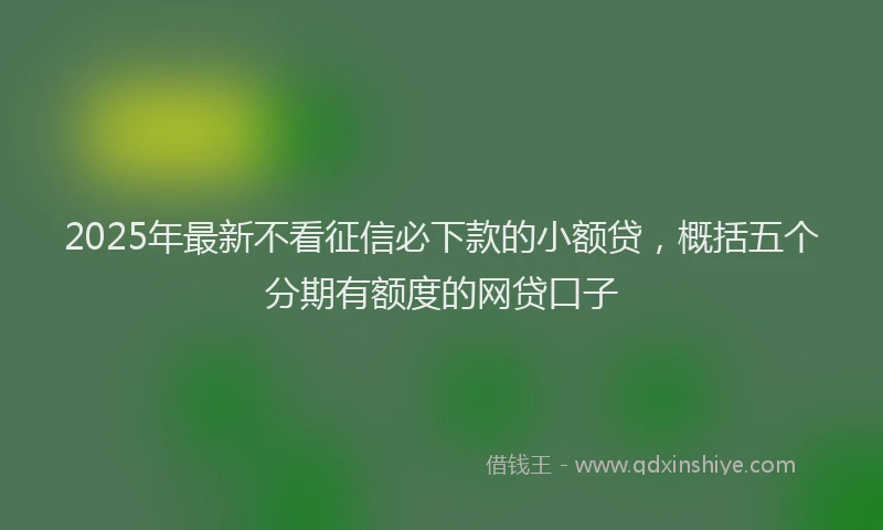 2025年最新不看征信必下款的小额贷，概括五个分期有额度的网贷口子