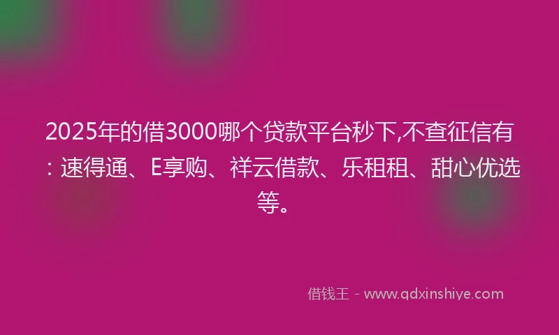 2025年的借3000哪个贷款平台秒下,不查征信有：速得通、E享购、祥云借款、乐租租、甜心优选等。