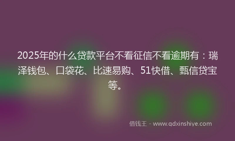 2025年的什么贷款平台不看征信不看逾期有：瑞泽钱包、口袋花、比速易购、51快借、甄信贷宝等。