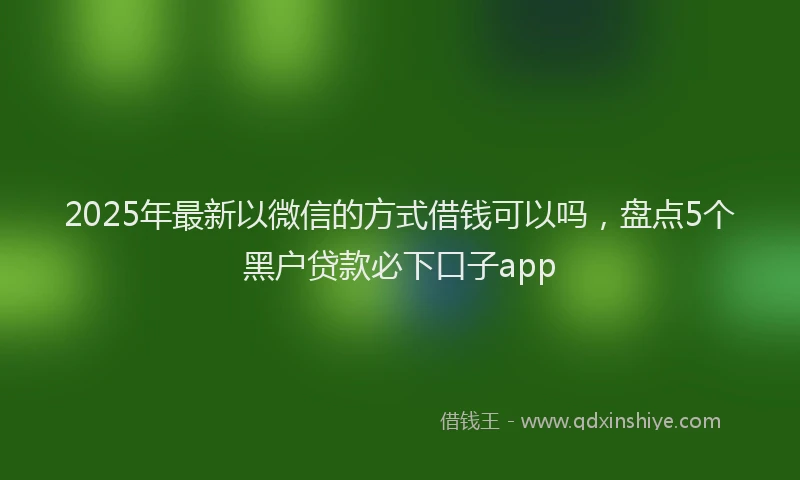 2025年最新以微信的方式借钱可以吗，盘点5个黑户贷款必下口子app